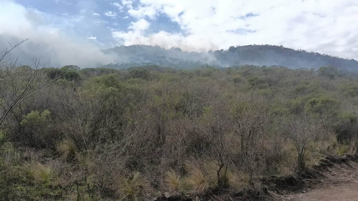 Incendio forestal en Córdoba: combaten un foco activo en La Calera con aviones hidrantes y brigadas