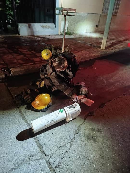 Córdoba: bomberos extinguieron un incendio y le salvaron la vida a un gato con oxígeno