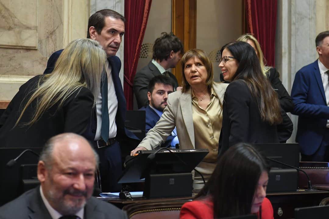 El Gobierno le pone play al debate por las PASO en el Senado