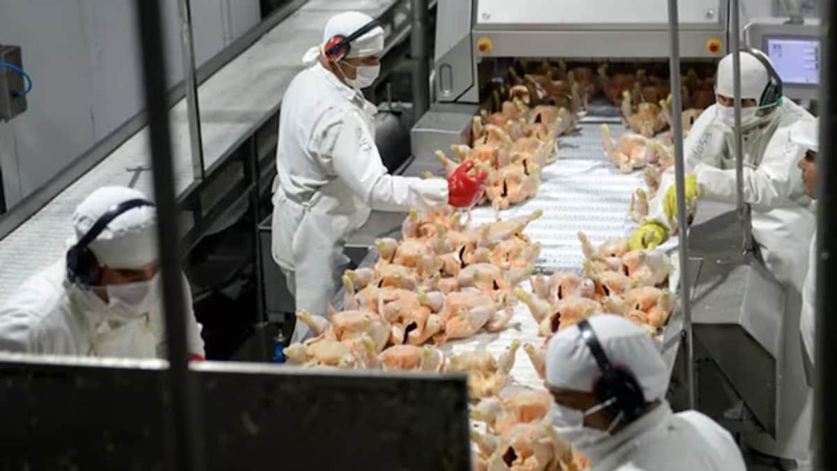 Granja Tres Arroyos ofreció pagar parte de los salarios con pollos, posible impacto en Córdoba