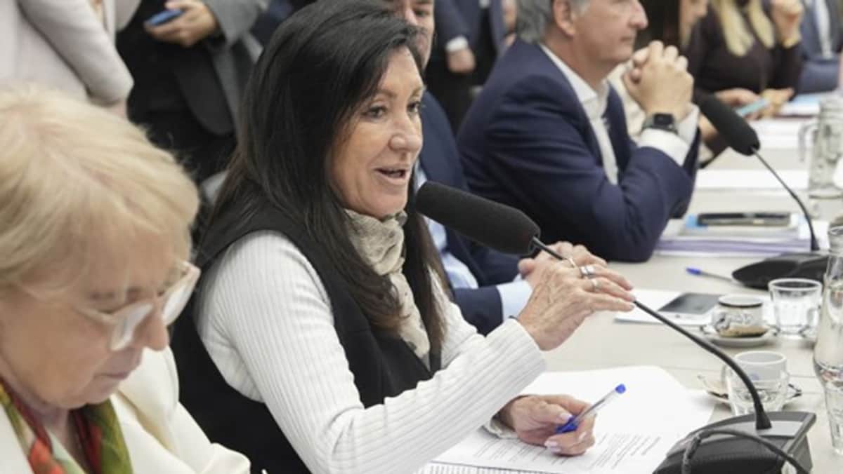 Ley de Discapacidad: el gobierno consiguió firmar dictamen tras el abrupto giro político