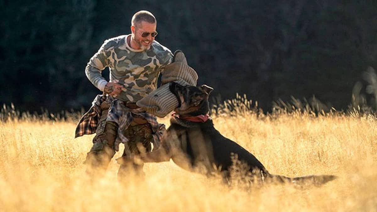 ¡Cartelera renovada!: Brad Pitt, Chris Hemsworth y Robert Downey Jr. en los estrenos de Cinemacenter