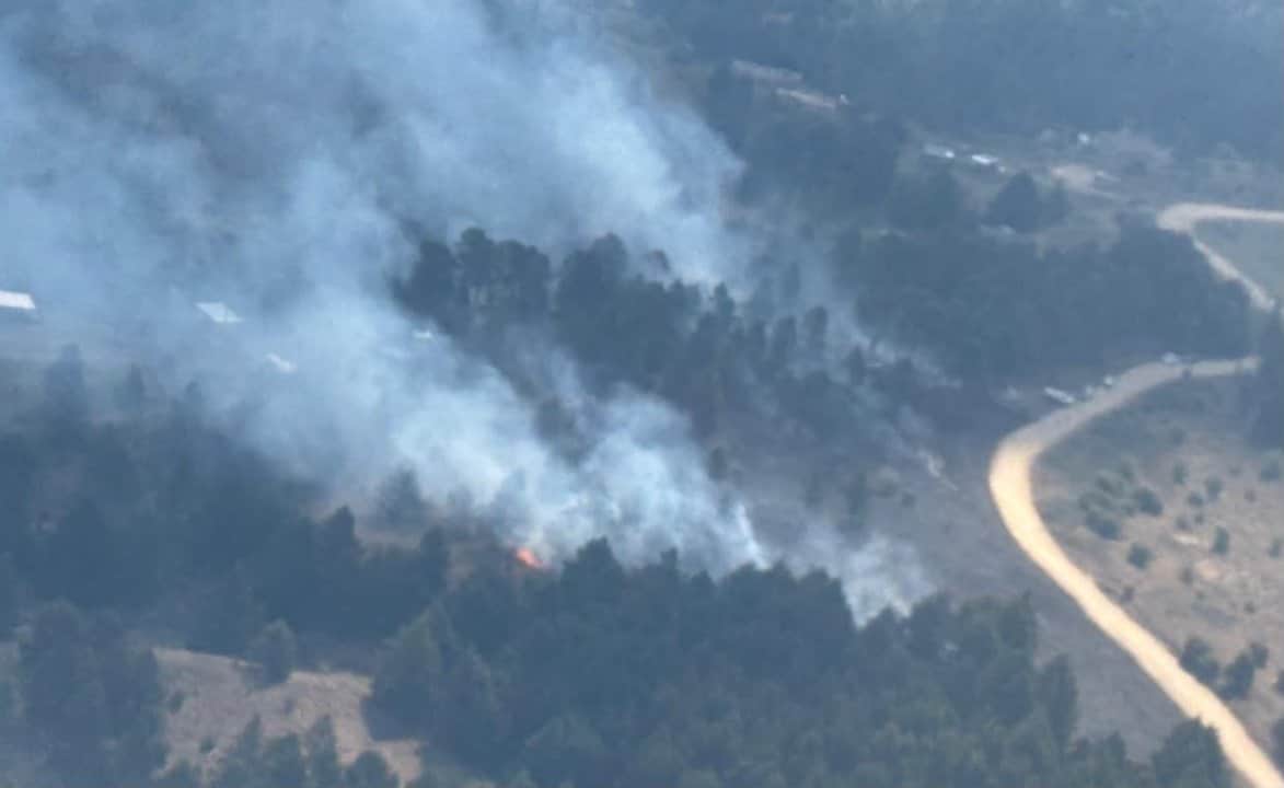 Bomberos combaten un incendio forestal en Villa Berna
