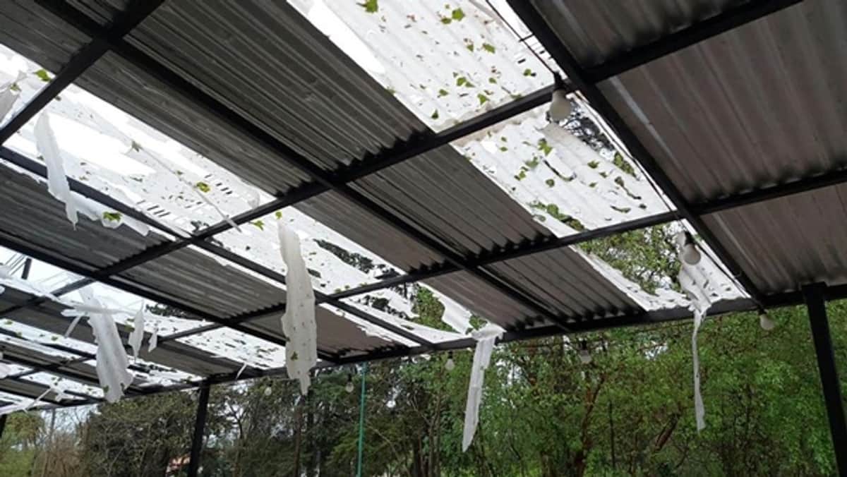 La Provincia asiste a familias afectadas por el granizo en Córdoba