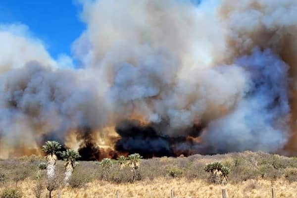 La Defensa Civil advirtió una alerta por riesgo extremo de incendios