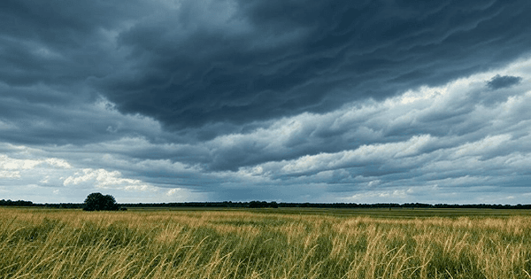 Anticipan un domingo con viento fuerte y posibles tormentas