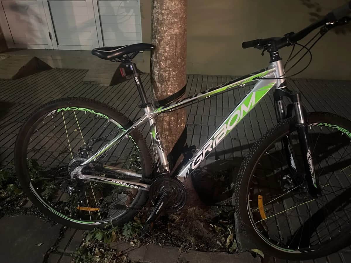 Recuperan una bicicleta sustraída y aprehenden a dos menores