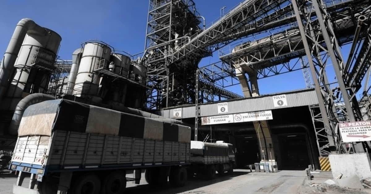 El ABC de la comercialización de soja en Argentina