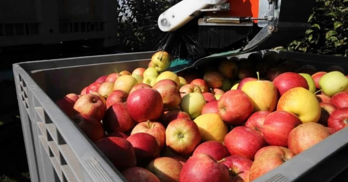 El crédito al agro creció 37 por ciento pero advierten que aun es insuficiente para un salto productivo