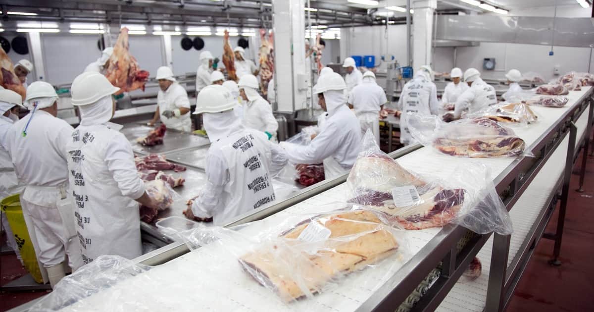 Las exportaciones argentinas a la Unión Europea crecieron un 19% en los primeros siete meses del año