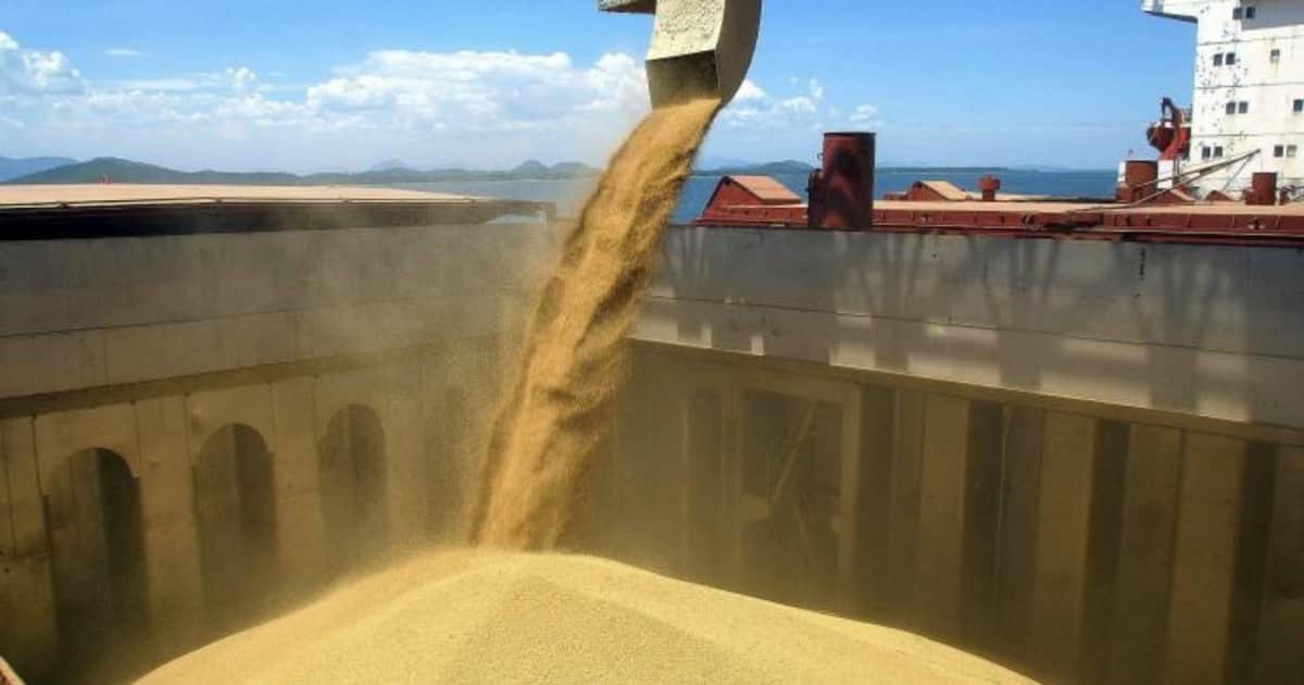 La soja mantiene el impulso y China vuelve a fortalecer las perspectivas del mercado