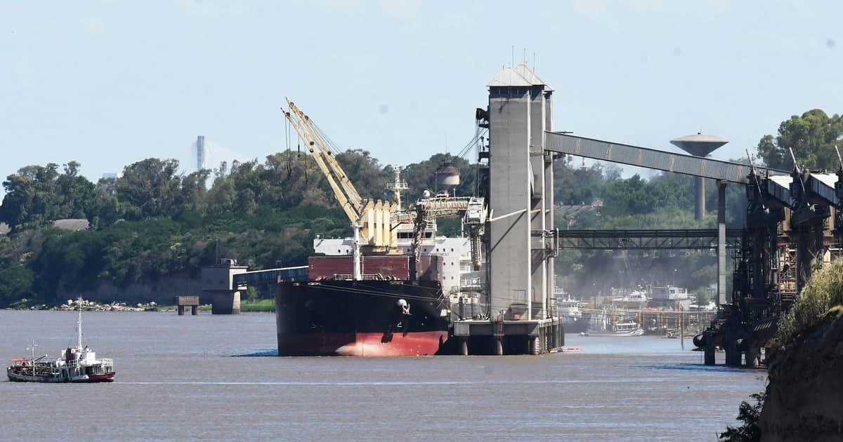 Con más de 3 millones de toneladas exportadas desde mayo, el aceite de soja argentino bate récords