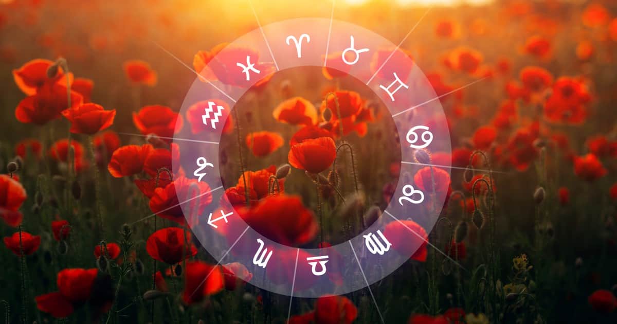 Horóscopo del amor para los últimos meses del 2026: predicciones para todos los signos