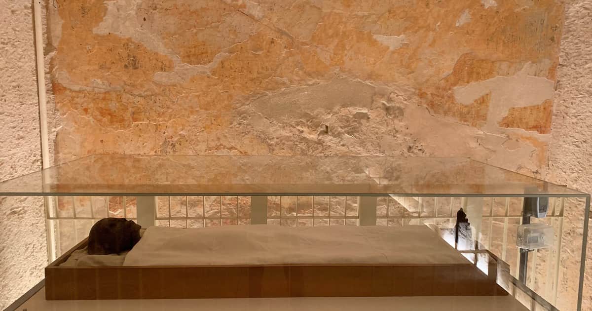 Un tarro de miel sellado dentro de una tumba egipcia alrededor del año 1000 A.C. fue abierto por arqueólogos en el siglo XX: se encontró que aún era comestible, conservado por su bajo contenido de agua, peróxido de hidrógeno natural y un pH lo suficientemente ácido como para que ninguna bacteria conocida pueda crecer en él