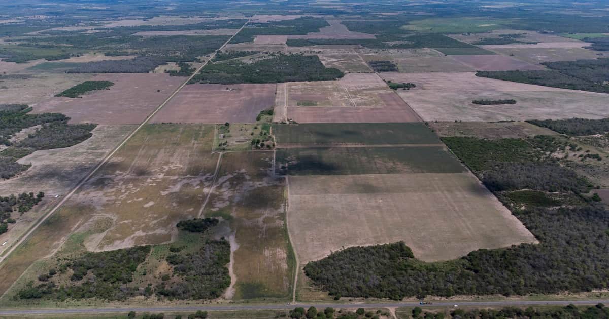 El campo, en alarma por el proyecto de “ecocidio”: advierten que podría frenar inversiones y judicializar la producción