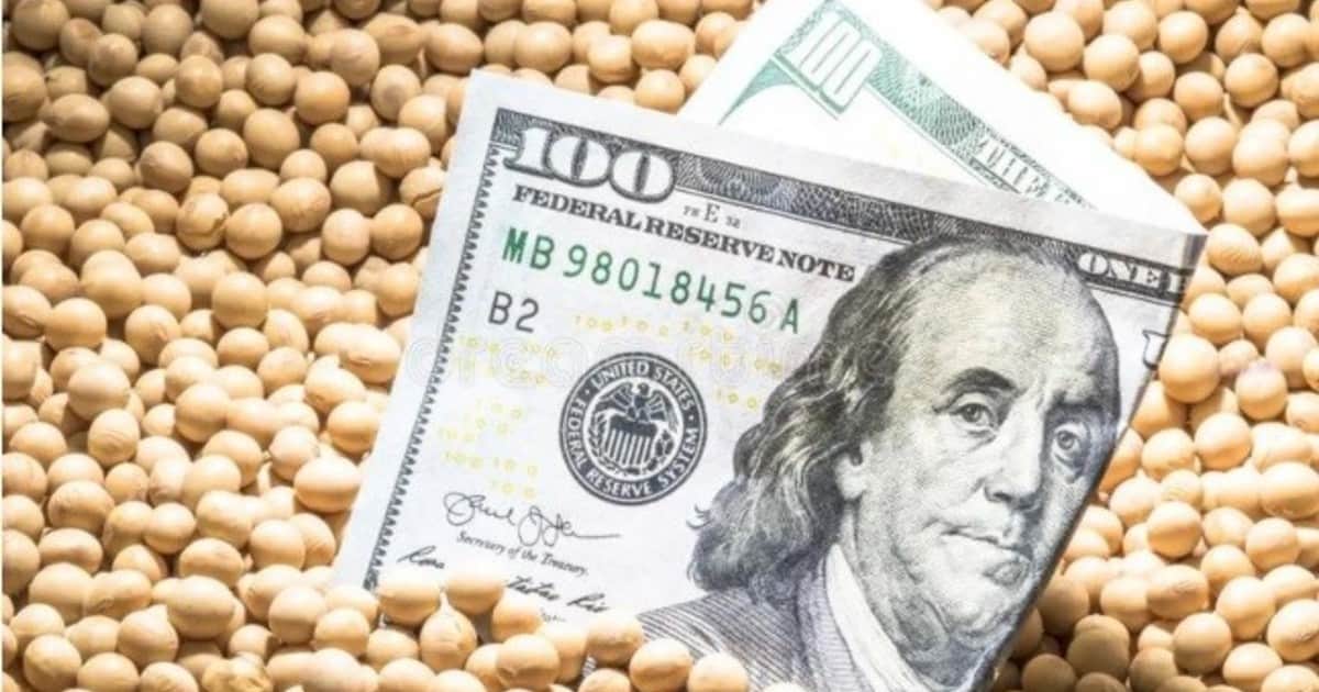 Retenciones al campo: pese al cronograma de reducción en los diferentes cultivos, el Gobierno espera recaudar un 41% más en 2027