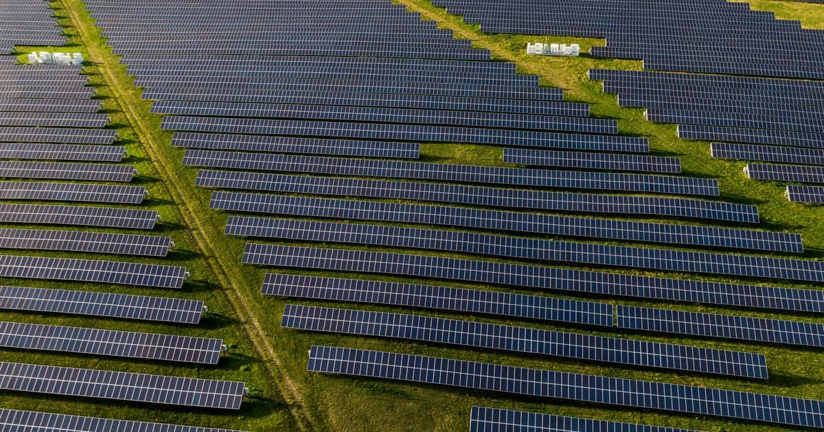 Los biólogos realizaron ocho visitas al mismo embalse para encontrar un ave en peligro de extinción: ahora, allí planean instalar un parque solar flotante y un sistema de almacenamiento de baterías