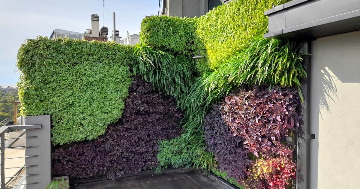 No más pintura blanca para la pared del patio trasero: la nueva tendencia elegante y práctica para tu jardín