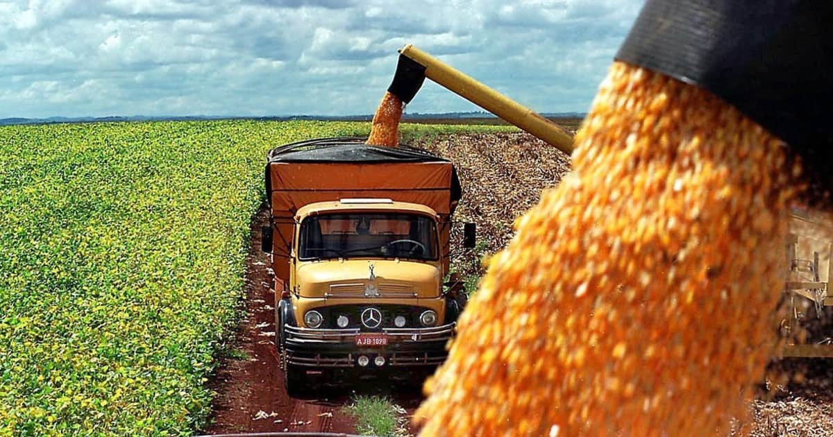 El campo ingresó 2750 millones de dólares por exportaciones en el mes de agosto