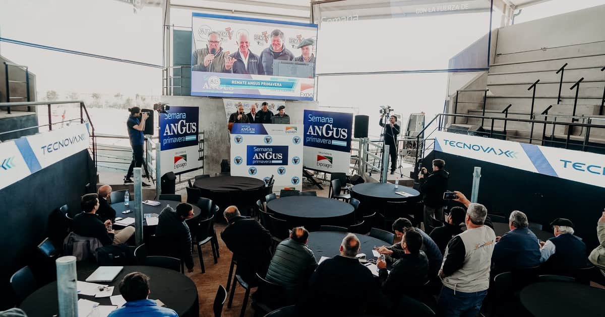 Remates con demanda firme y valores sostenidos en la Semana Angus de Primavera
