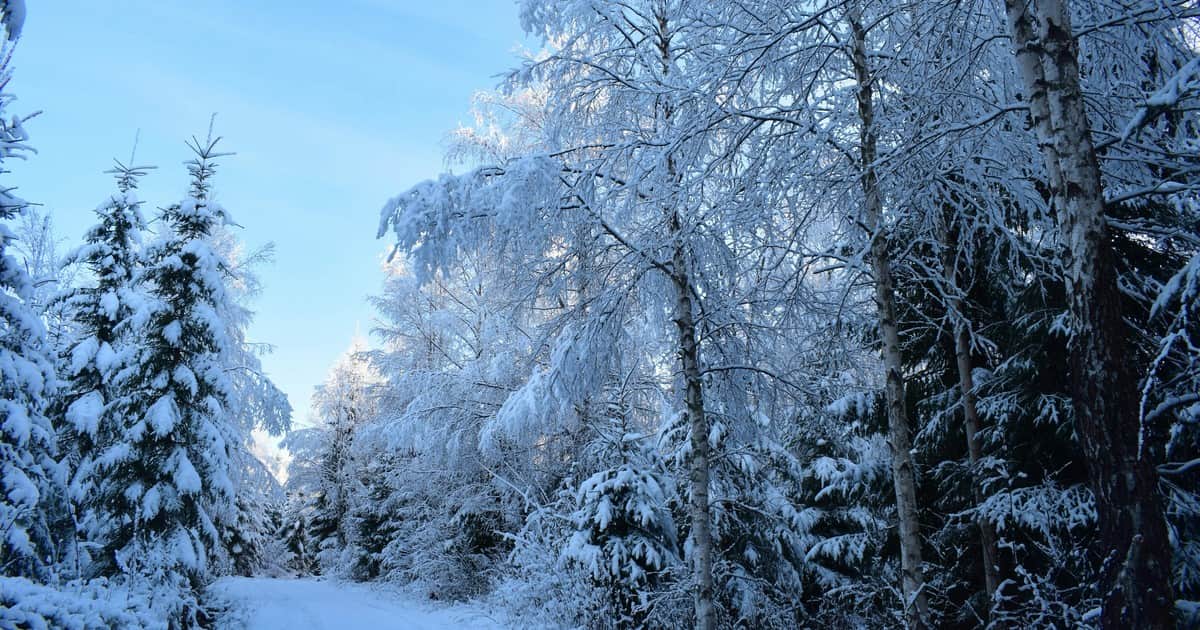 Clima hoy en Copahue, Neuquén: el pronóstico del tiempo para este jueves 3 septiembre de 2026