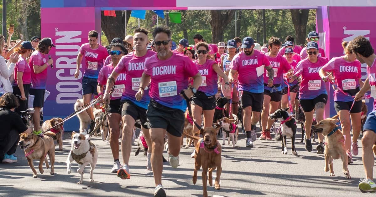 Carrera con perros: cuánto cuesta participar con mascotas en la nueva edición del DogRun de Vicente López