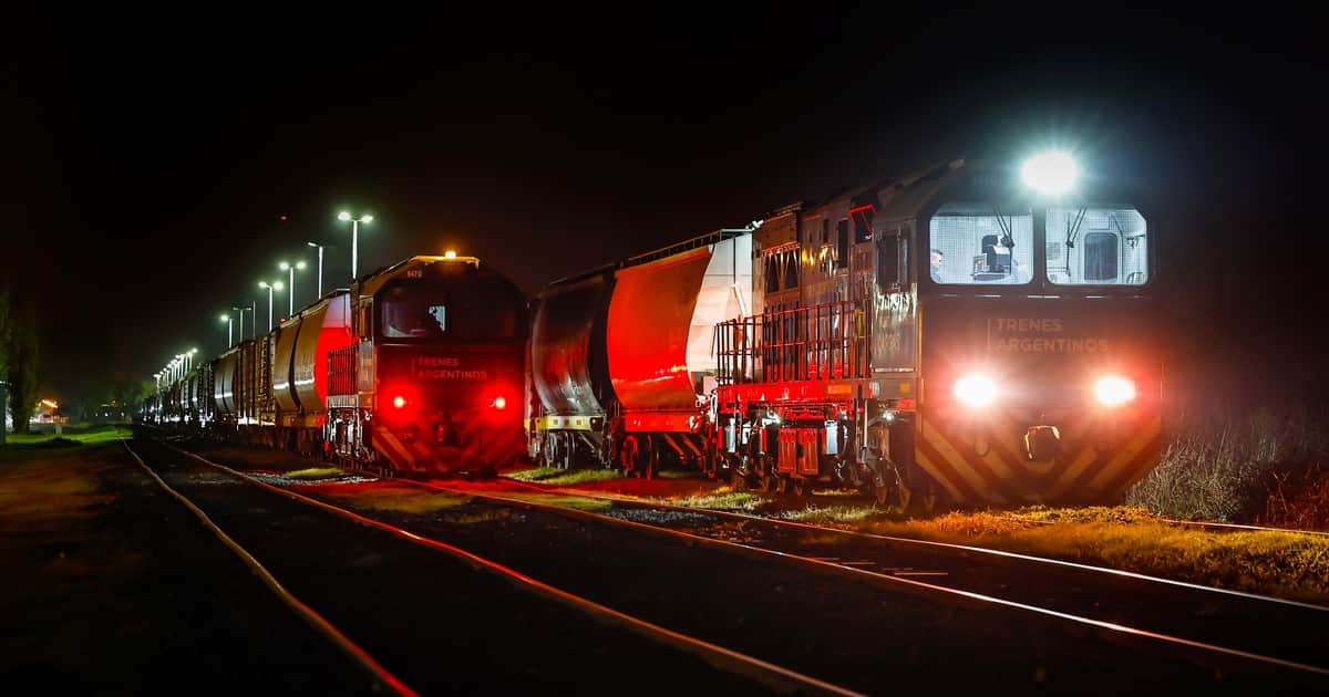 La deuda interna de los trenes de carga y los proyectos para incrementar su actividad
