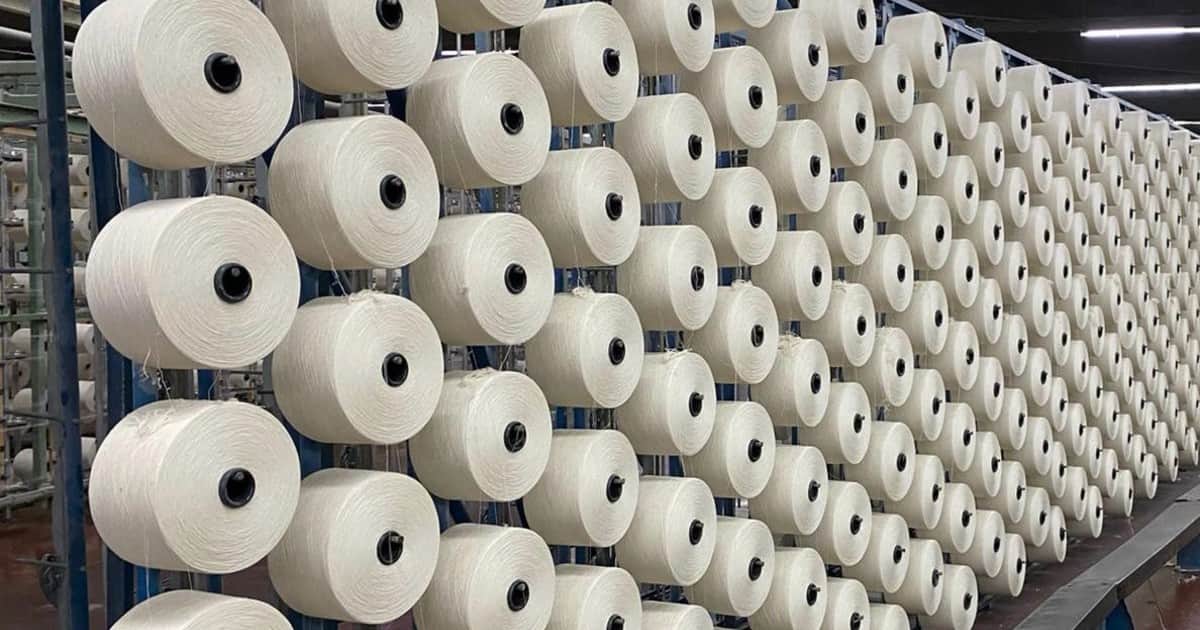 Vaca Muerta y textiles: ganadores y perdedores del modelo económico y el "tapado" que podría resurgir en 2027