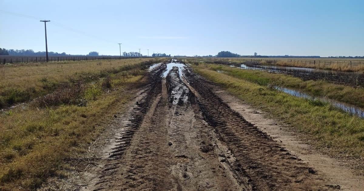 Productores bonaerenses recurrieron a la Justicia para conocer cuánto se recauda y cuánto se gasta en caminos rurales