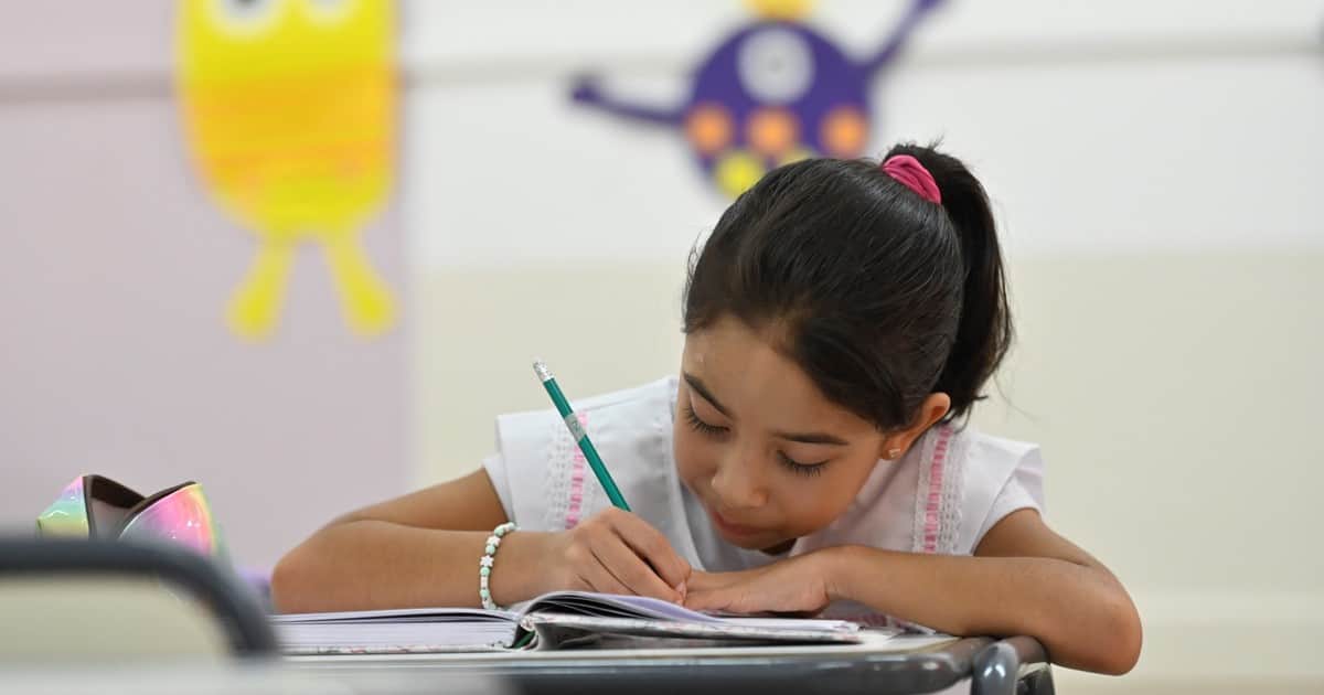 Un Súper RIGI para la educación