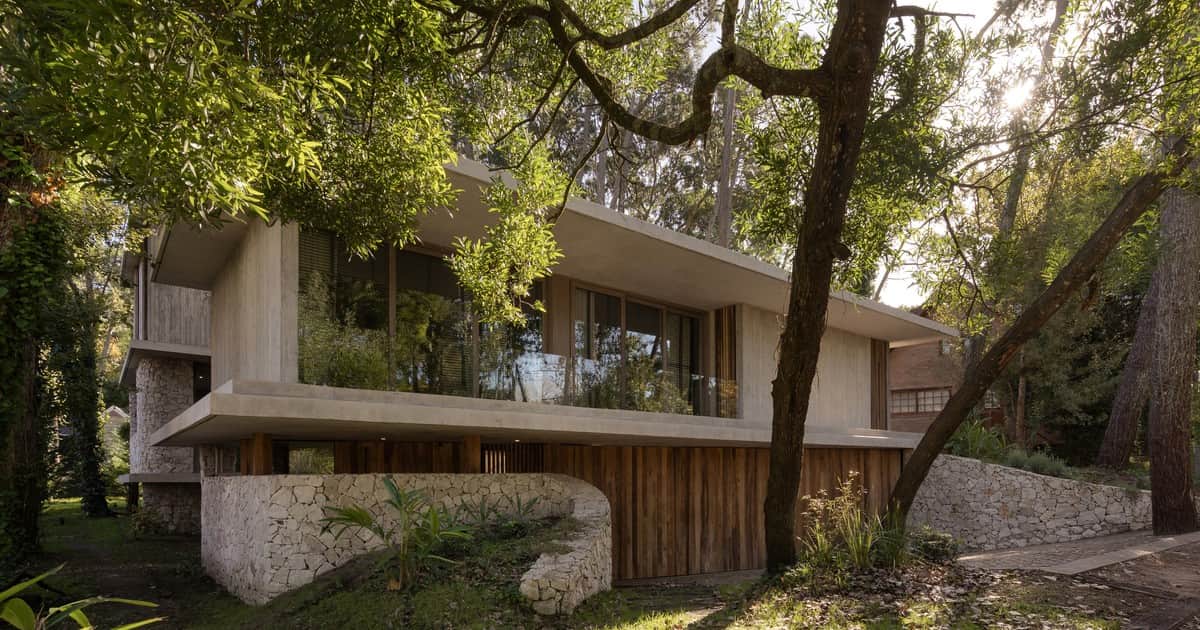 Una vivienda en Cariló que se adapta al bosque y propone una arquitectura de recorrido entre árboles