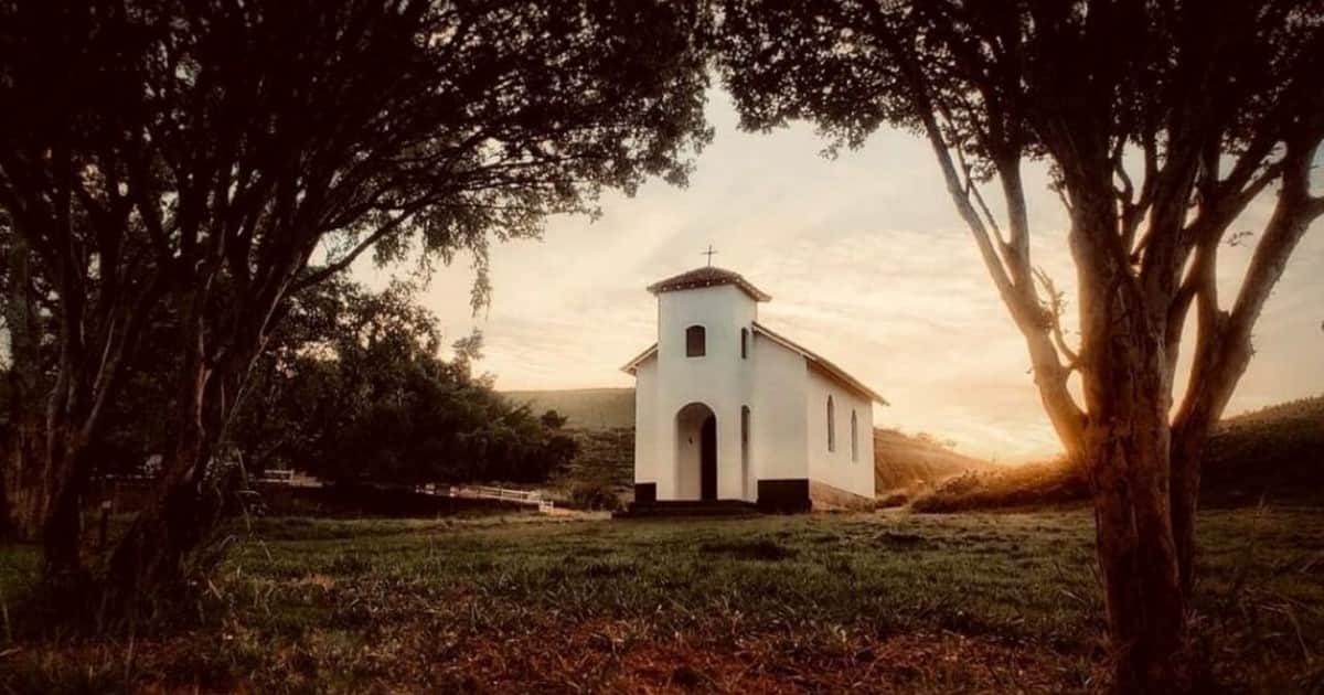 Encontró una finca abandonada, restauró el suelo y los manantiales, plantó más de 120.000 árboles y transformó 40 hectáreas en una plantación agroforestal de café sin pesticidas: allí comenzó a producir café de especialidad junto con su marido y otros socios