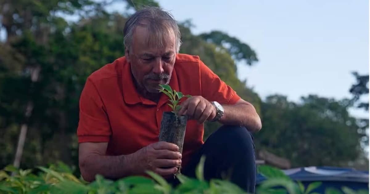 Un manantial estaba perdiendo fuerza en una finca cafetalera hasta que un agricultor plantó 1.332 plántulas de 43 especies; tres años después, el agua resistió la sequía e incluso ayudó a los vecinos