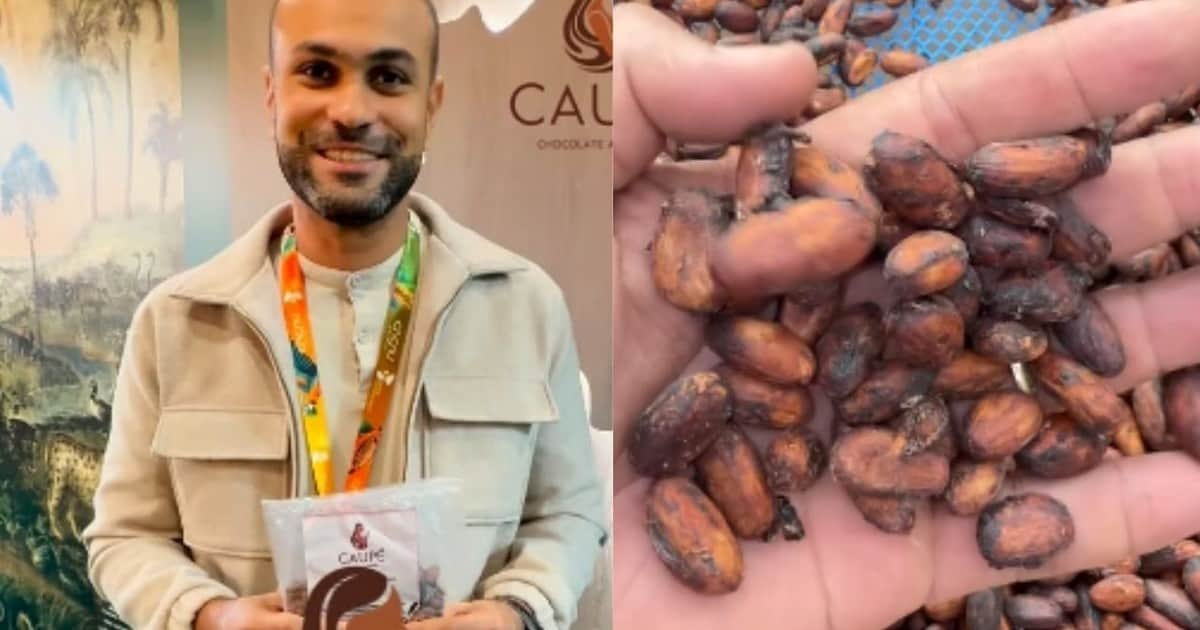 Los pastizales utilizados durante 40 años se degradaron tanto que las plantas de pimienta negra murieron, pero el productor cambió su inversión al cacao, recuperó el área y comenzó a cosechar almendras premiadas, mientras prepara la finca para alcanzar las 50 hectáreas productivas