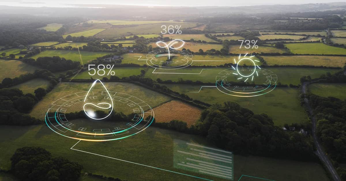 El gran desafío del campo: cómo usar conectividad y tecnología para hacer más eficiente la producción