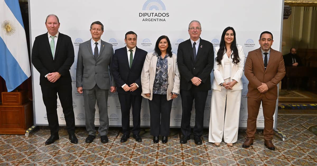 Misioneros y salteños toman distancia de Milei y presentaron su nuevo bloque: Argentina Federal