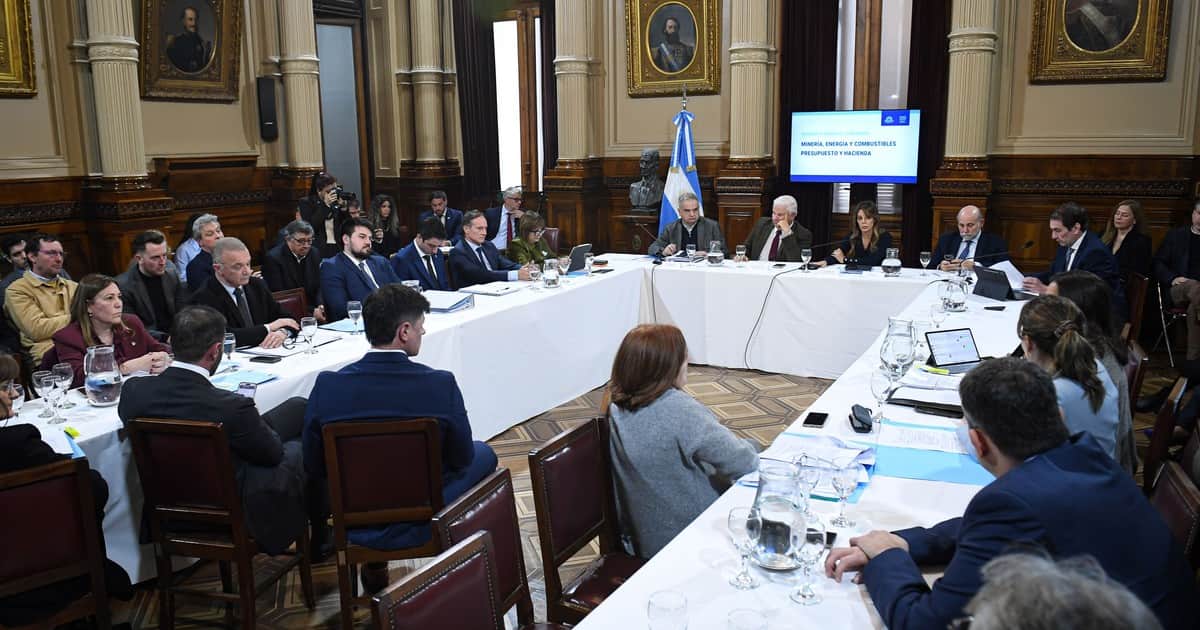 "Tenemos que dar un fin": el oficialismo impulsa cambios en la ley de Biocombustibles para llegar a un acuerdo con el sector del biodiésel