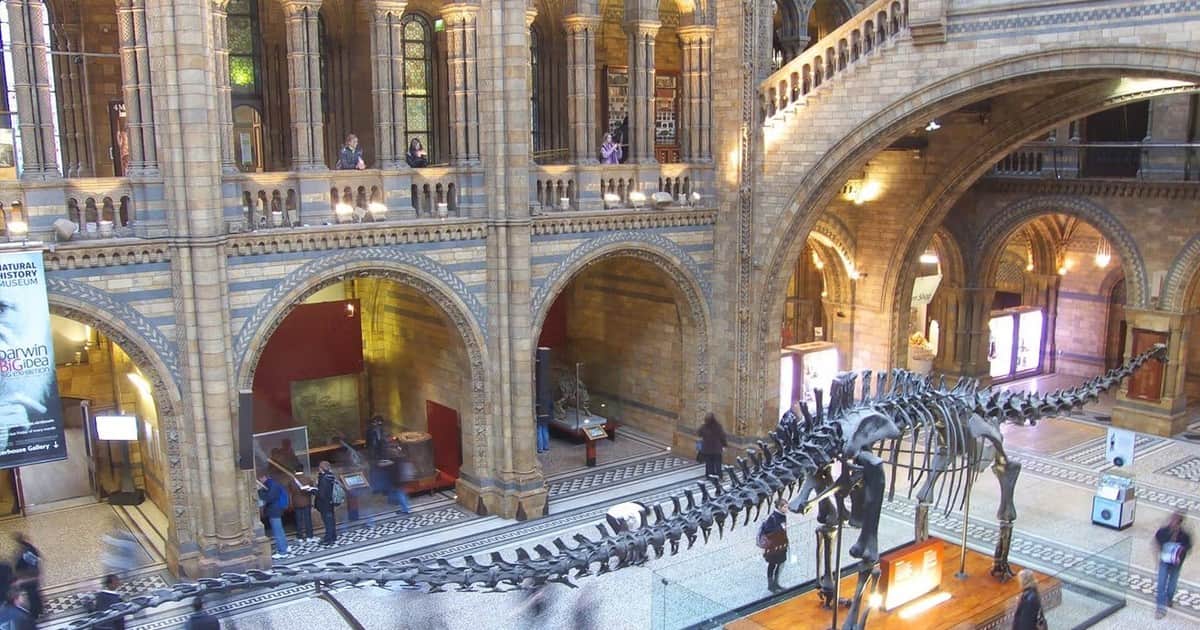 El Museo de Historia Natural de Londres reabre una galería cerrada desde la Segunda Guerra