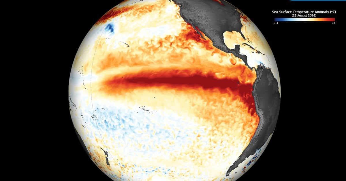 Súper Niño 2026 en Argentina, EN VIVO hoy: qué dicen los expertos sobre las lluvias y provincias más afectadas este miércoles 26 de agosto