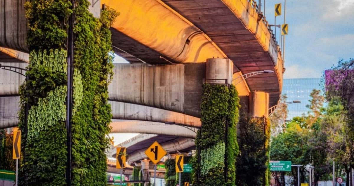 Transformaron más de 1.000 columnas de una autopista en jardines verticales para combatir la contaminación y el calor