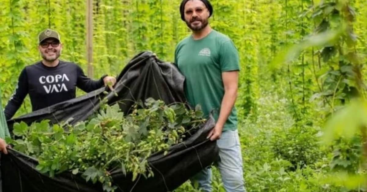 Transformó una finca de 3000 m² en una zona productiva, comenzó a cultivar lúpulo en 2022 y, dos años después, lanzó una cerveza artesanal en colaboración con un maestro cervecero