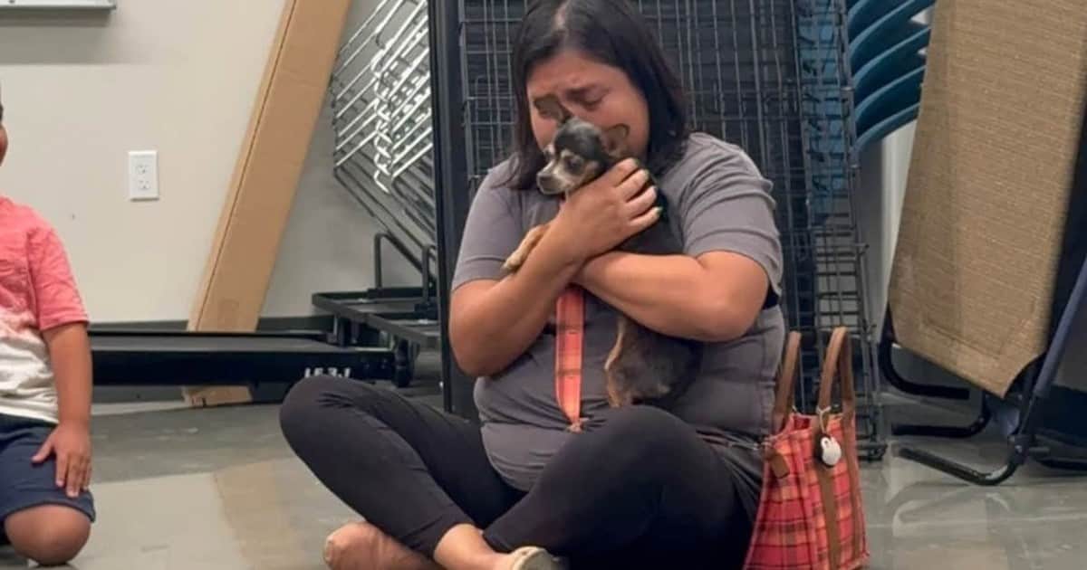 Perdió a su perra, la buscó durante 12 años y un microchip hizo posible un reencuentro inesperado