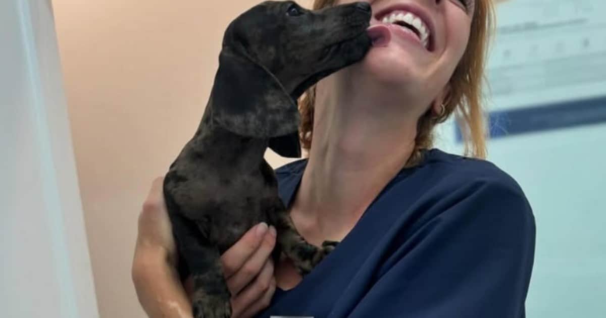 Claudia Reyes, experta en animales: “Hay 3 mitos sobre mascotas que no son verdad. El tener una camada no aporta ningún beneficio para la salud”