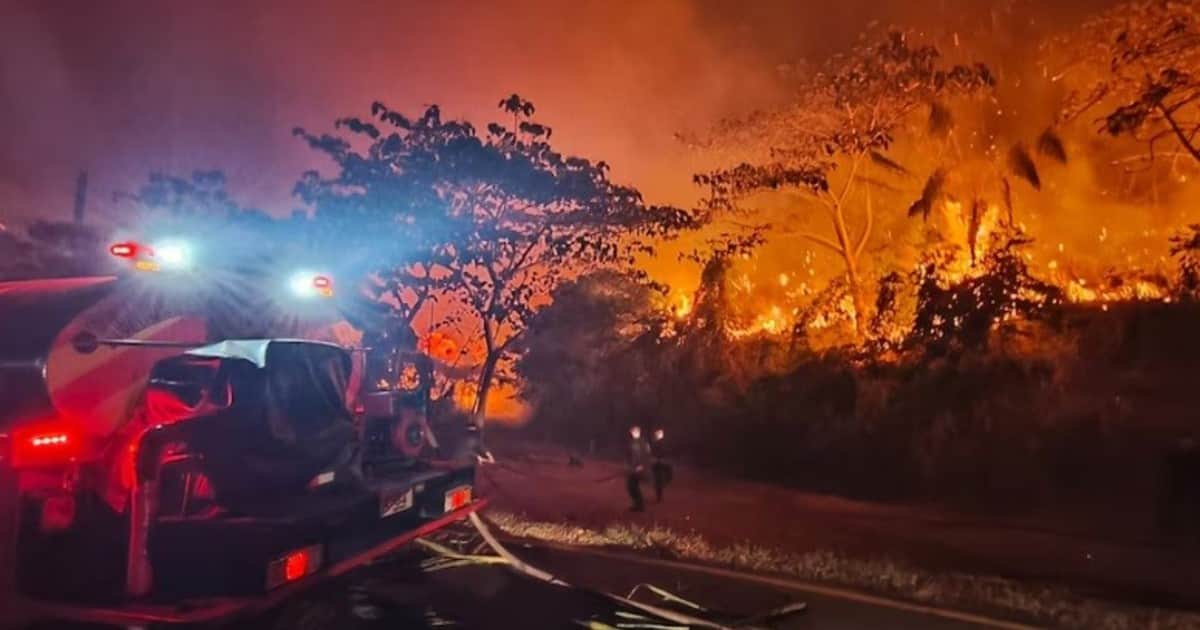 Medellín bajo fuego: enfrenta cuatro incendios forestales simultáneos en distintos puntos de la ciudad