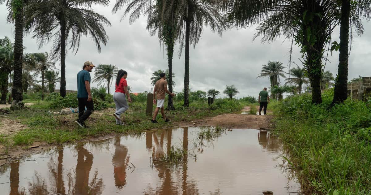 Deportados relatan sus desgarradores viajes a África: grilletes, un "congelador" y golpes