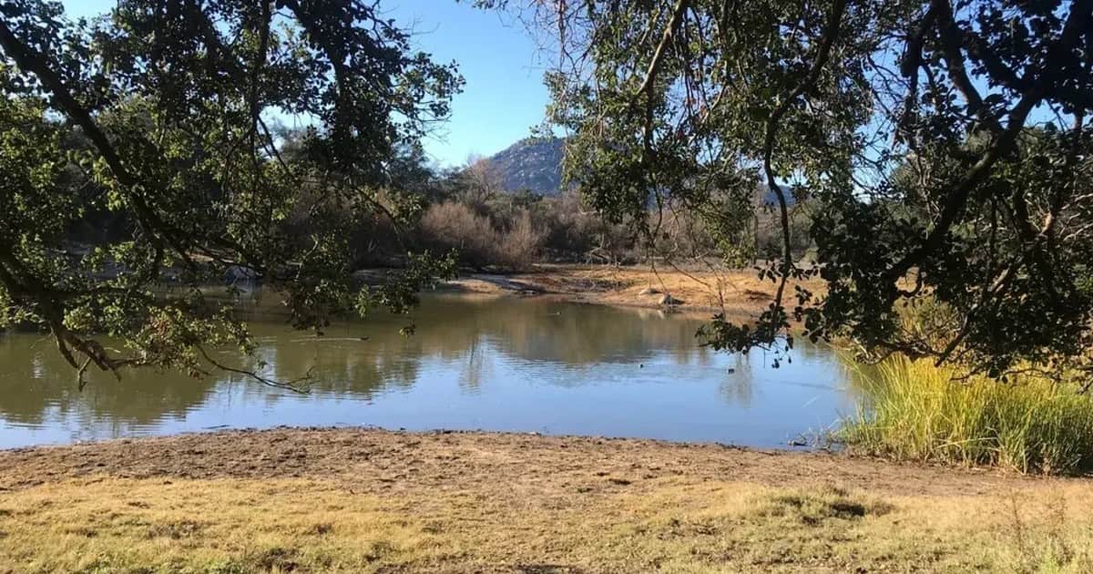 En 1940, un actor de Hollywood compró tierras en California; seis décadas después 417 acres se convirtieron en hábitat de la rata canguro de Stephen, el camarón hada de San Diego y otras especies en peligro de extinción