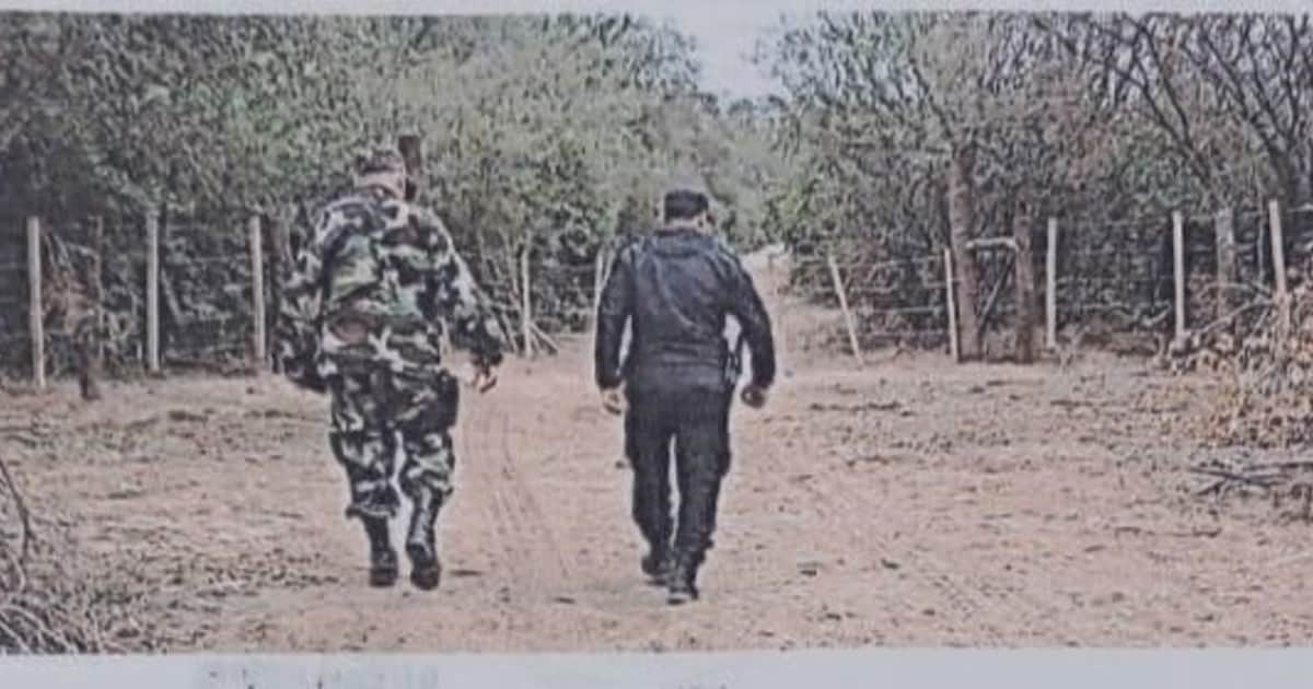 Así operan las bandas que usurpan campos en Salta y Santiago del Estero para explotarlos: armas, tala ilegal y vínculos con la política