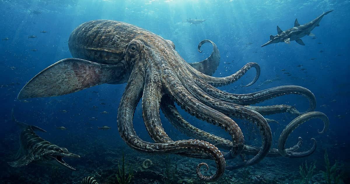 Los antiguos pulpos crecían hasta casi 20 metros de largo y aplastaban a sus presas con mandíbulas tan poderosas que los científicos están replanteándose quién dominaba el océano prehistórico