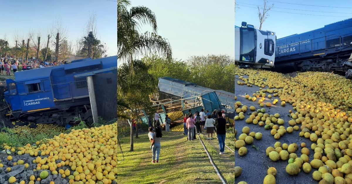 Choque y descarrilamiento en Tucumán: un tren del Belgrano Cargas embistió a un camión de limones que cruzó mal la vía