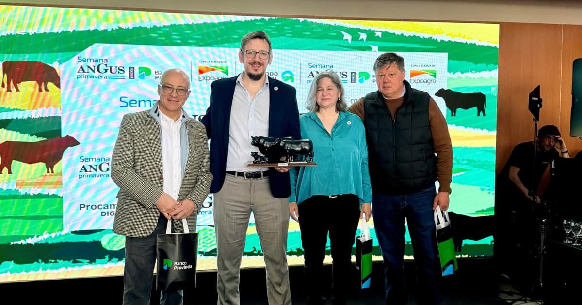 Llega la Semana Angus de Primavera edición Banco Provincia, una cita de la genética y los negocios ganaderos